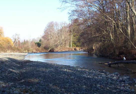 Sequim: Mary Luke Wheeler County Park