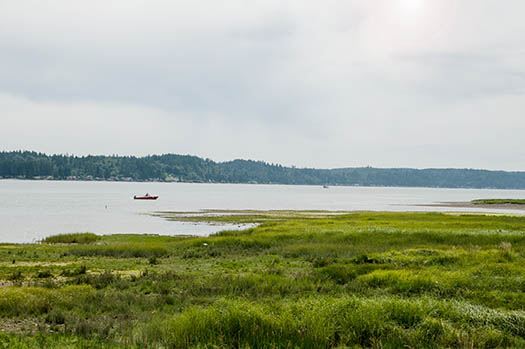 Belfair: Belfair State Park