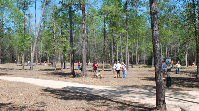 Spring: Bibi and Mini-Me Bush Dog Park