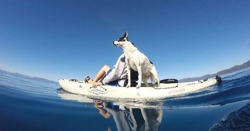 Day Go Adventures – Lake Tahoe Kayak Rentals