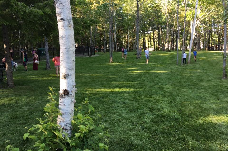 Bridgewater: South Shore Vet Dog Zone