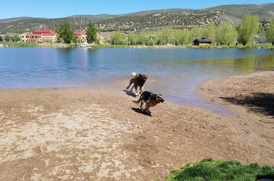 Freedom Park Off-Leash Dog Area
