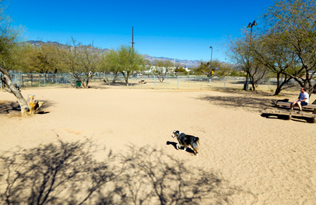 Pima County Dog Parks