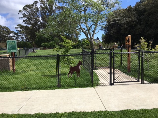 Santa Cruz Off-Leash Dog Areas