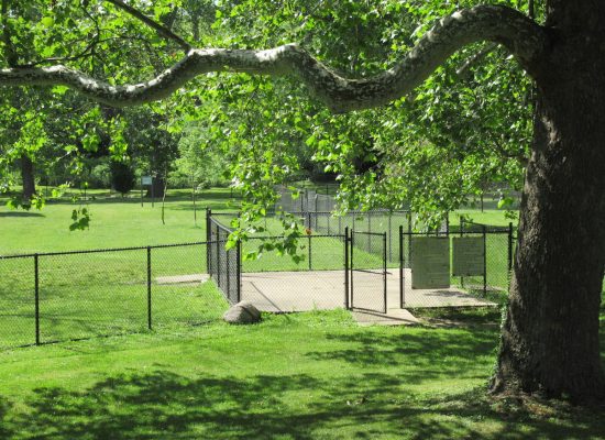 Springfield: Wiggley Field Dog Park