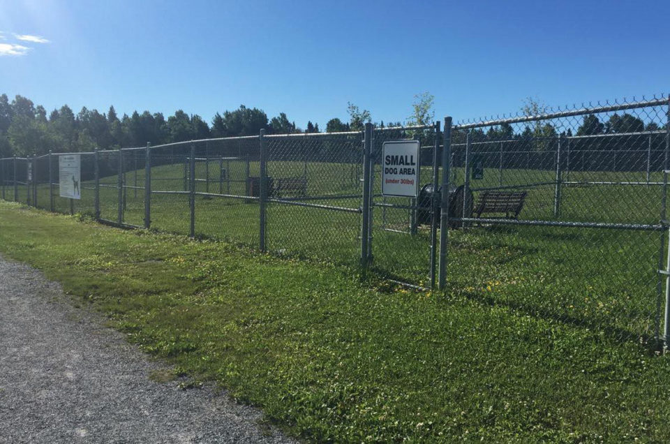 Sussex: Bark Park