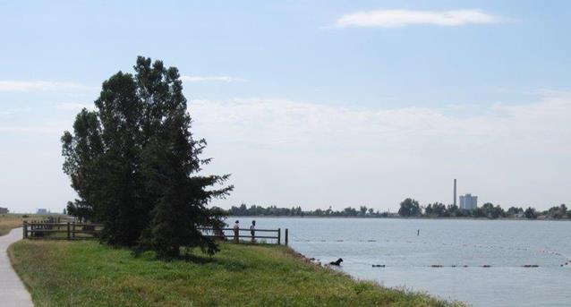 Windsor Lake Dog Park – Windsor, CO