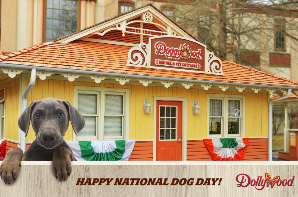 Pigeon Forge: Dollywood Kennel