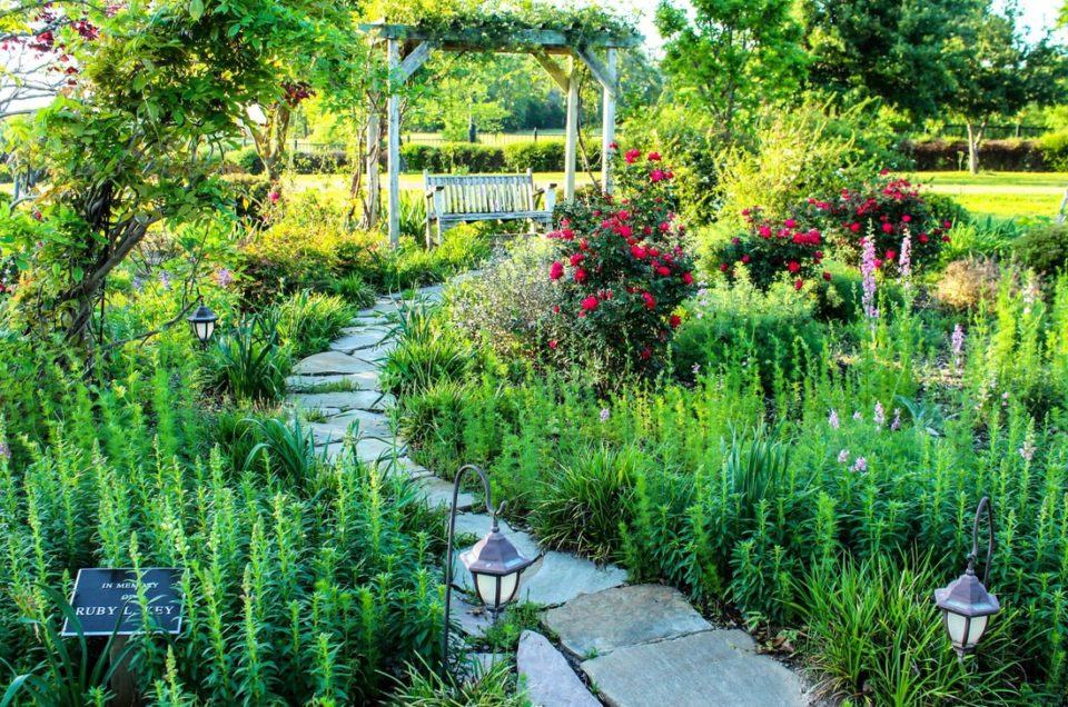 Athens: East Texas Arboretum & Botanical Society