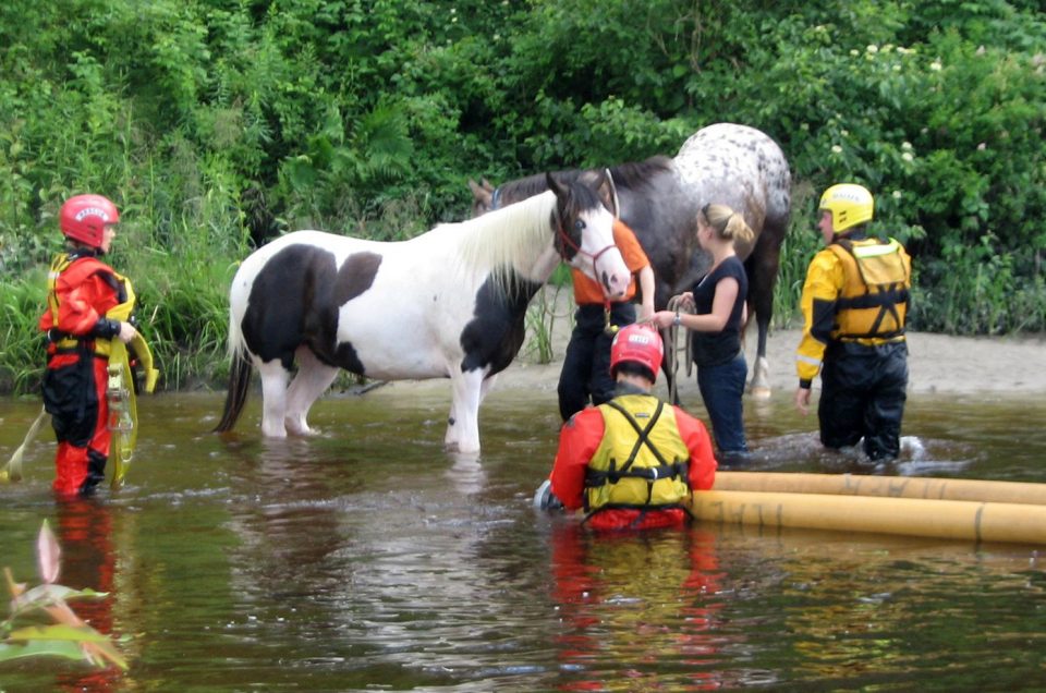 Pet Evacuation in Massachusetts