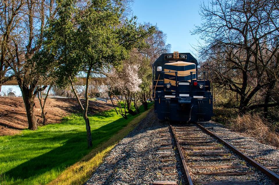 River Fox Train – West Sacramento, CA