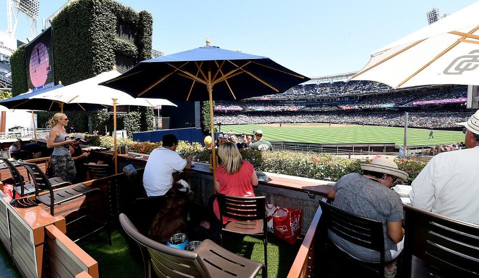 San Diego Padres Baseball – Dog Friendly Baseball