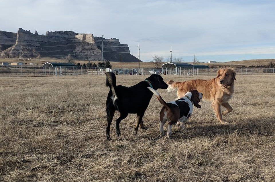 Scottsbluff: Shaq’s Riverside Dog Park