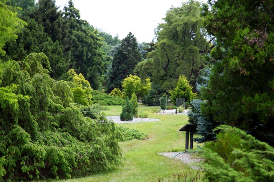 U.S. National Arboretum