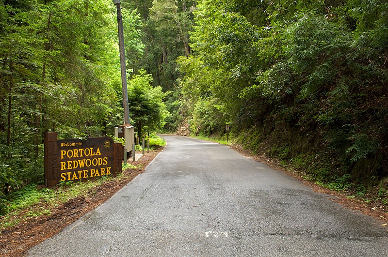 Portola Redwoods State Park Campground