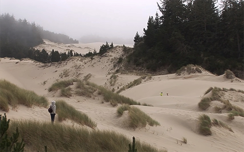 Oregon Dunes National Recreation Area Pet Policy