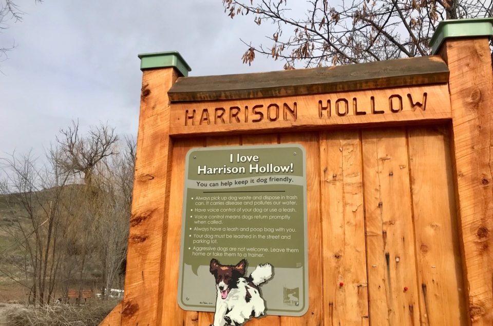 Boise: Ridge to Rivers Controlled Off-Leash Trails