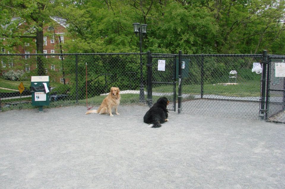 Newark Street Dog Park – Washington, DC