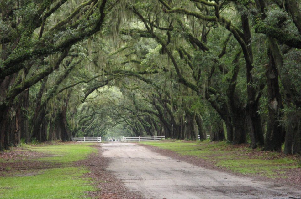Savannah: Wormsloe State Historic Site