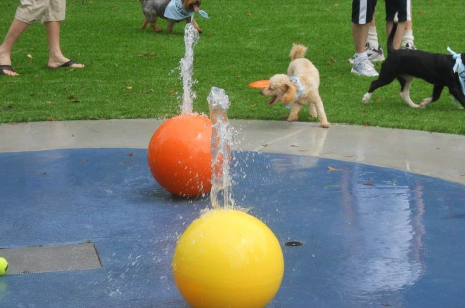 Beneful Dream Dog Park – Alabaster, AL