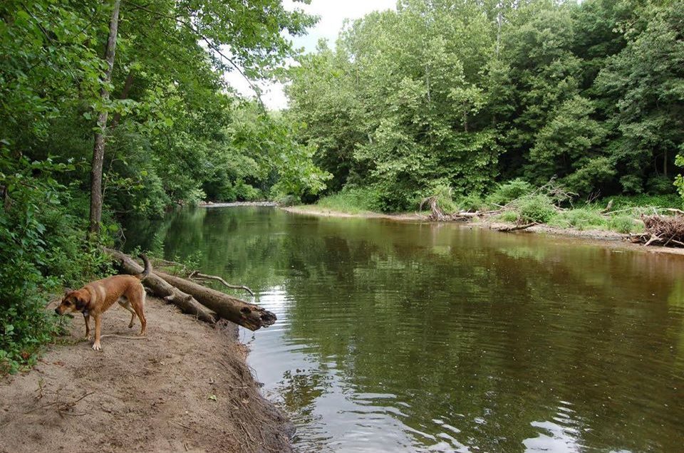 Southbury: Southbury Dog Park