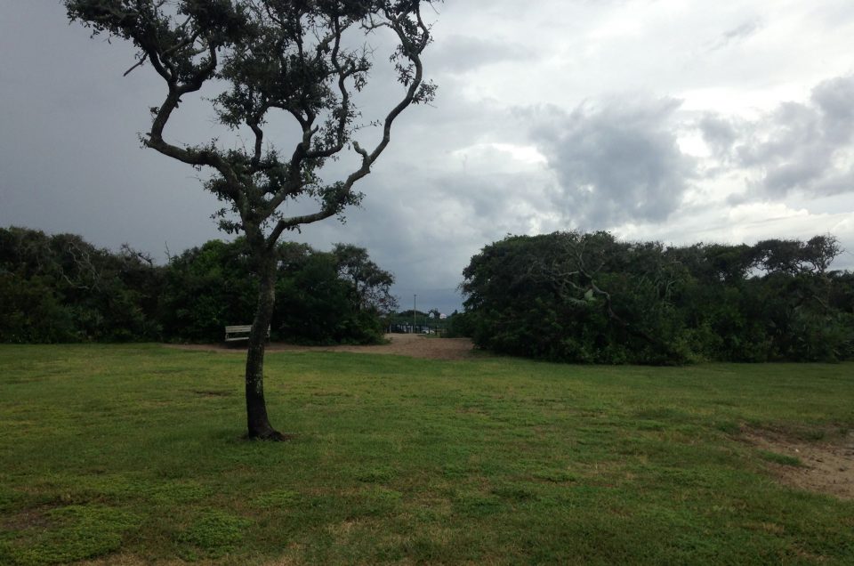 Volusia County Dog Parks