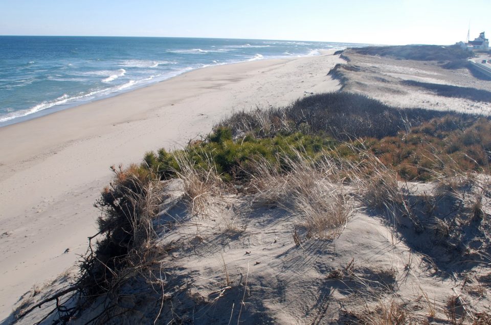 Coast Guard Beach – Eastham, MA