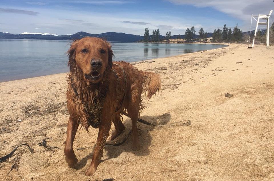 Sand Harbor State Park Beach – Lake Tahoe, NV