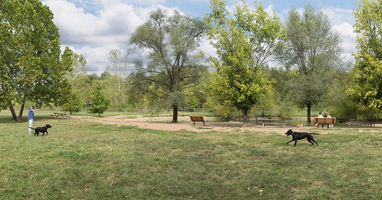 Garth Nature Area Dog Park