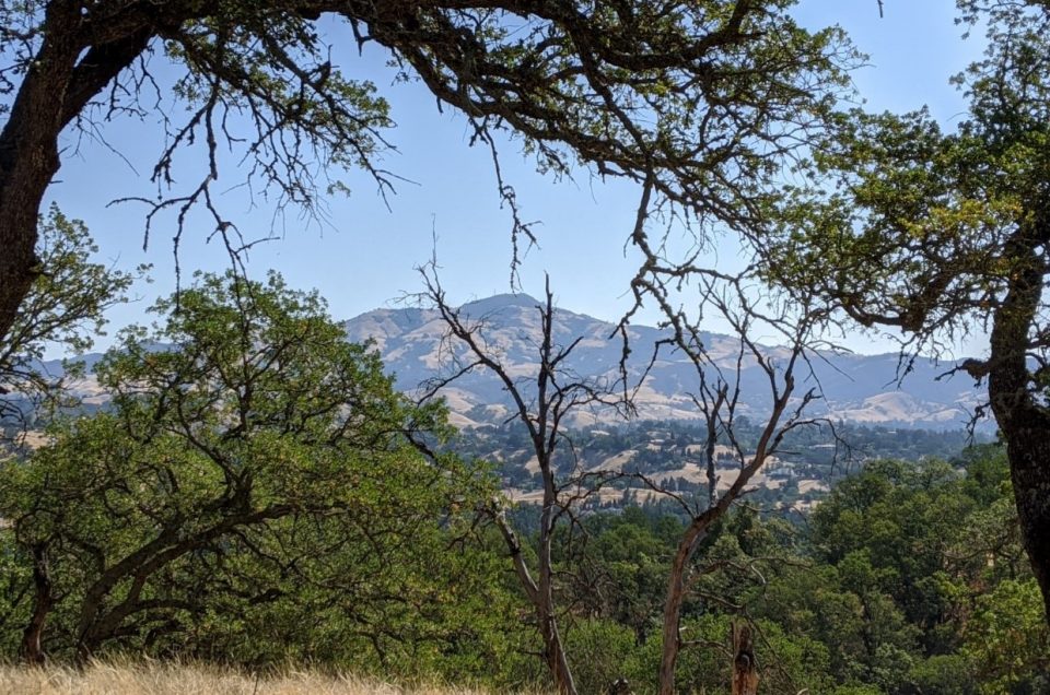 East Bay Regional Park District