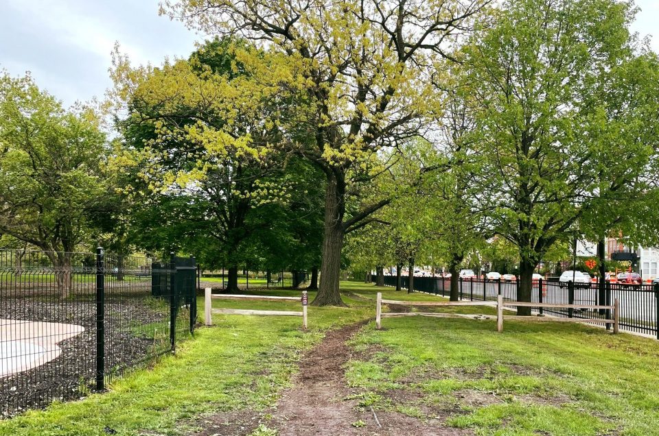 Horner Park Dog Park – Chicago, IL