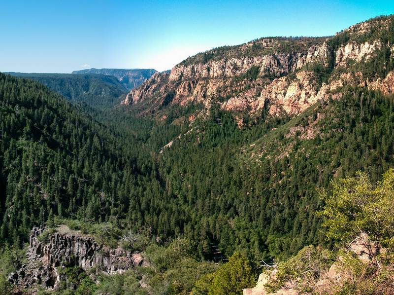 Coconino National Forest Pet Policy