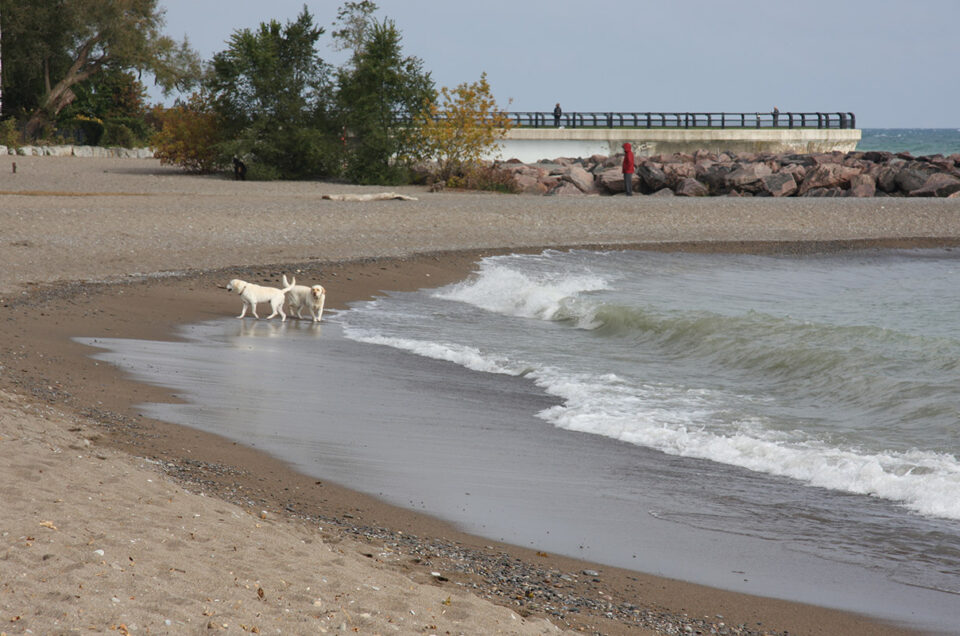 Balmy Beach Park Dog Beach – Toronto, ON