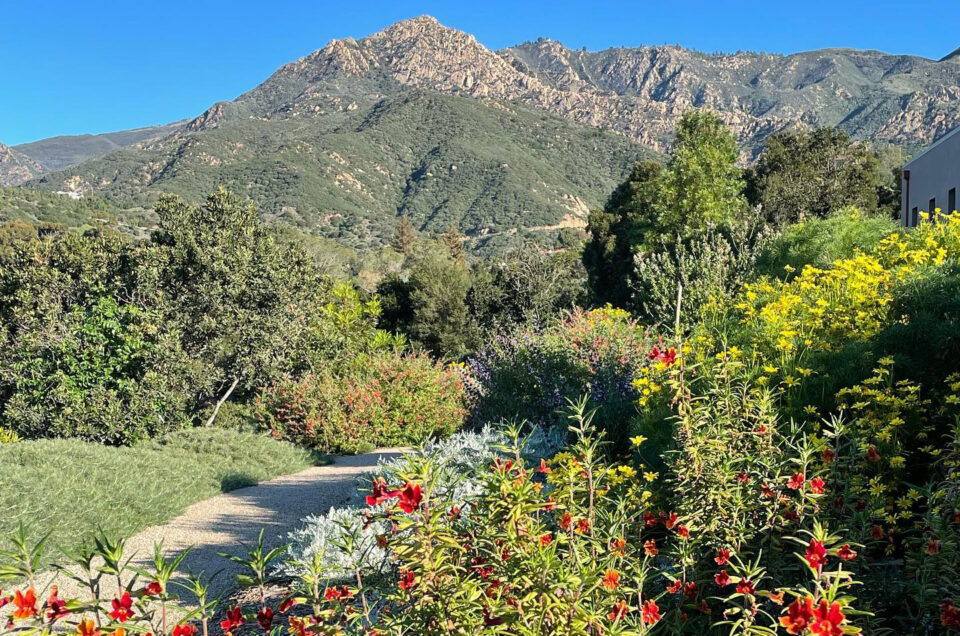 Santa Barbara Botanic Garden – Santa Barbara, CA