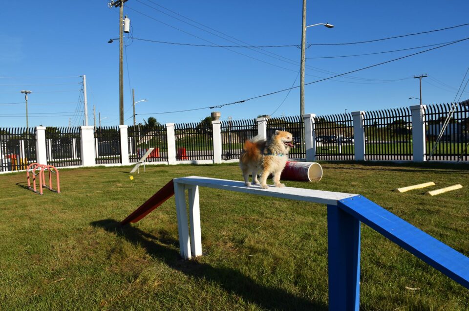Truman Waterfront Dog Park – Key West, FL