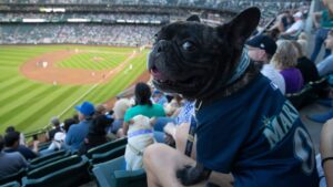Bark at the Park Major League Baseball Games 2023