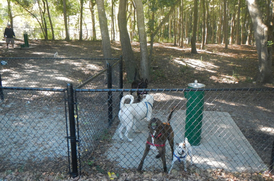 Charleston Dog Parks – Charleston, SC