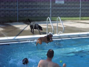 Pooch Paddle, Sioux City, IA