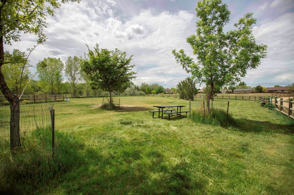 Poudre Pooch Park – Windsor, CO