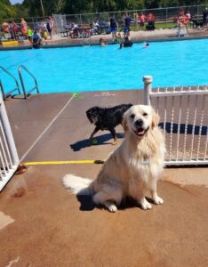 Pups at the Pool, Pueblo, CO