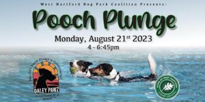 West Hartford Pooch Plunge 2023, CT