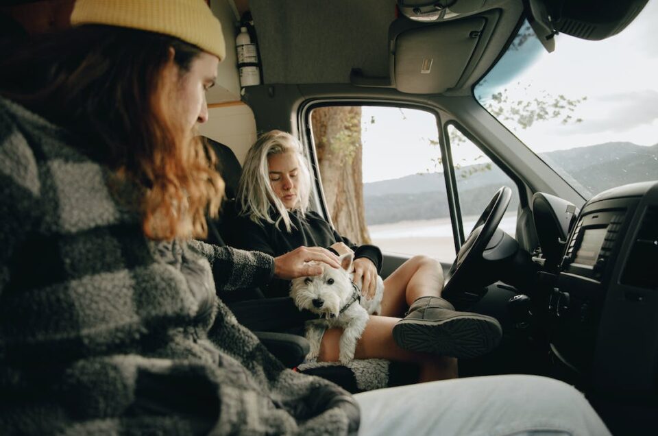 Tips for Traveling as a Digital Nomad With Your Pet