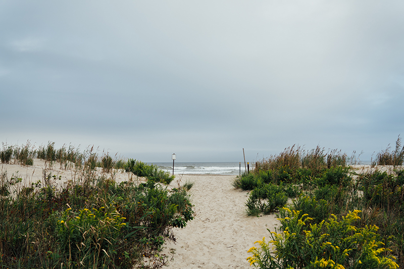 Corson’s Inlet State Park Beach – Ocean City, NJ