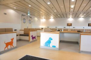 P & O Ferries Pet Lounge