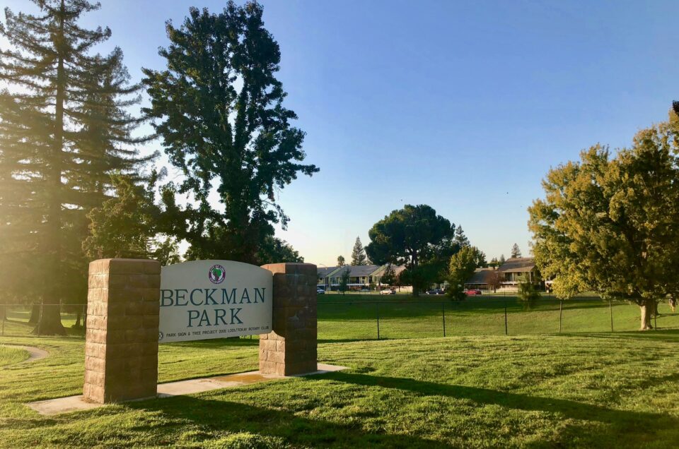 Beckman Dog Park – Lodi, CA