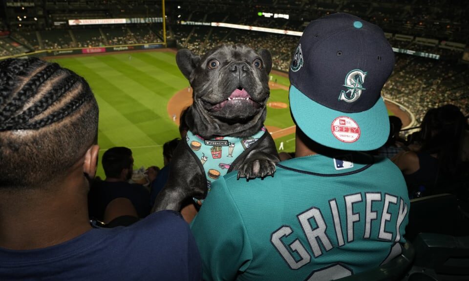 Bark at the Park – Dog Friendly Major League Baseball Games 2024