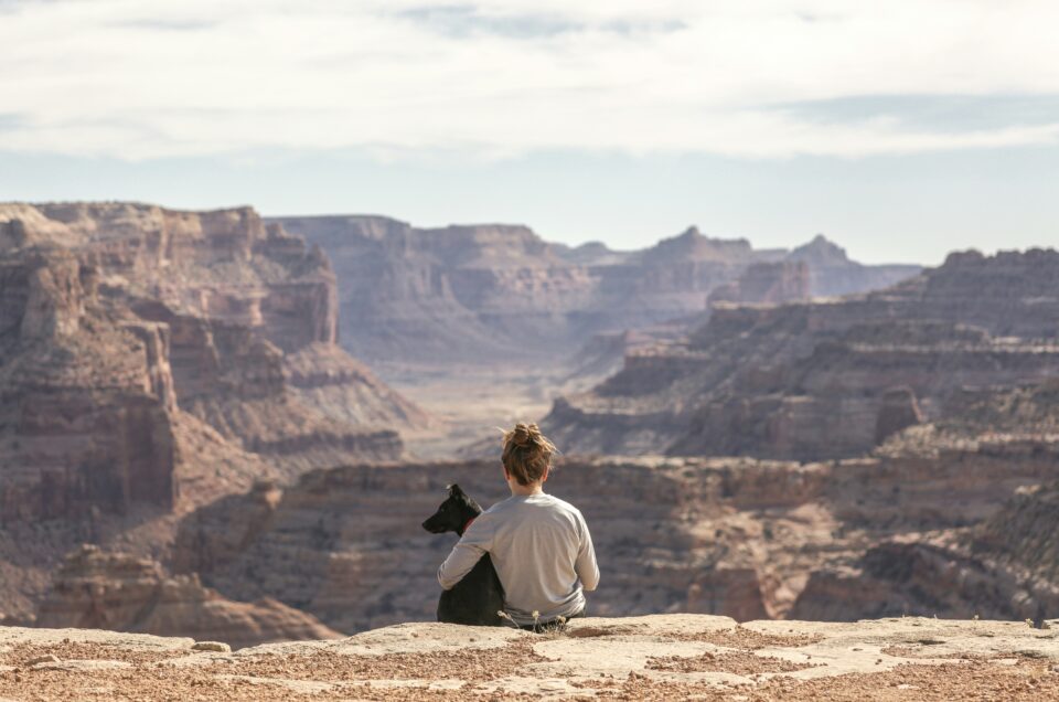 Pet Travel Documentation: A Comprehensive Guide