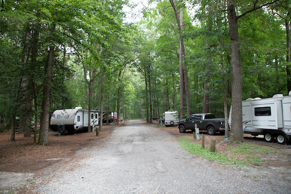 Trap Pond State Park Campground – Laurel, DE